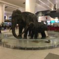 デリーの空港内に象の像