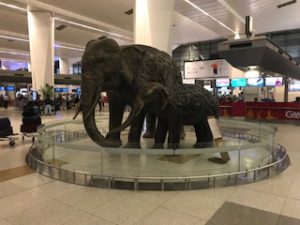 デリーの空港内に象の像