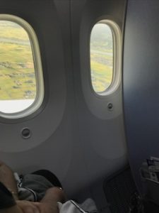 ANA機内からの景色